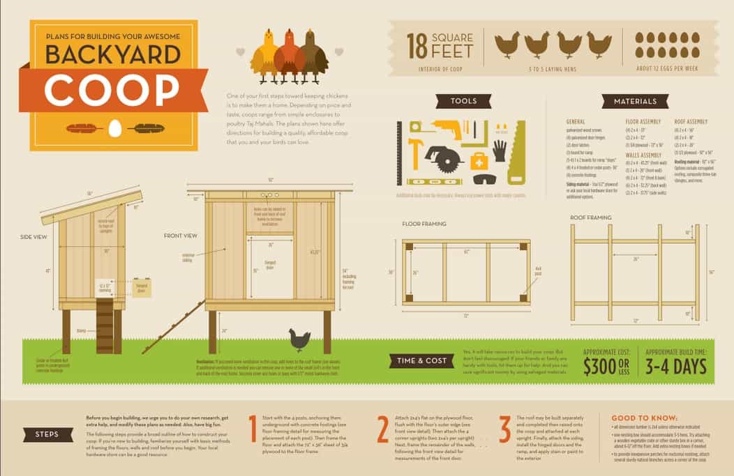 Infographic: zelf een kippenhok bouwen | Tuin en Balkon